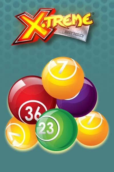Xtreme Bingo