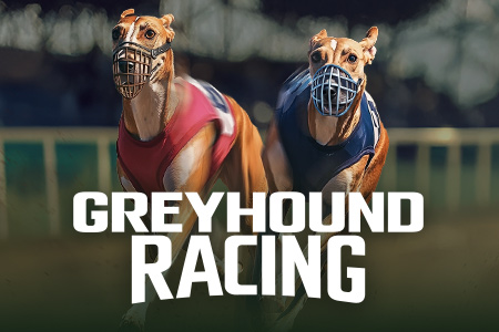Greyhound Racing
