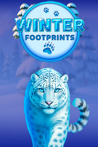 Winter Footprints