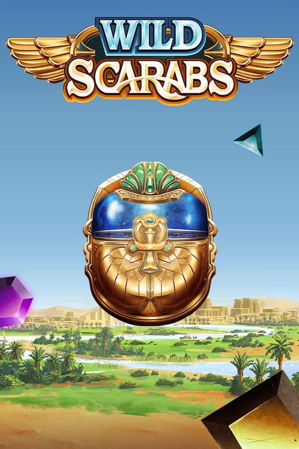 Wild Scarabs